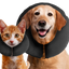 Zenpet ProCollar XS