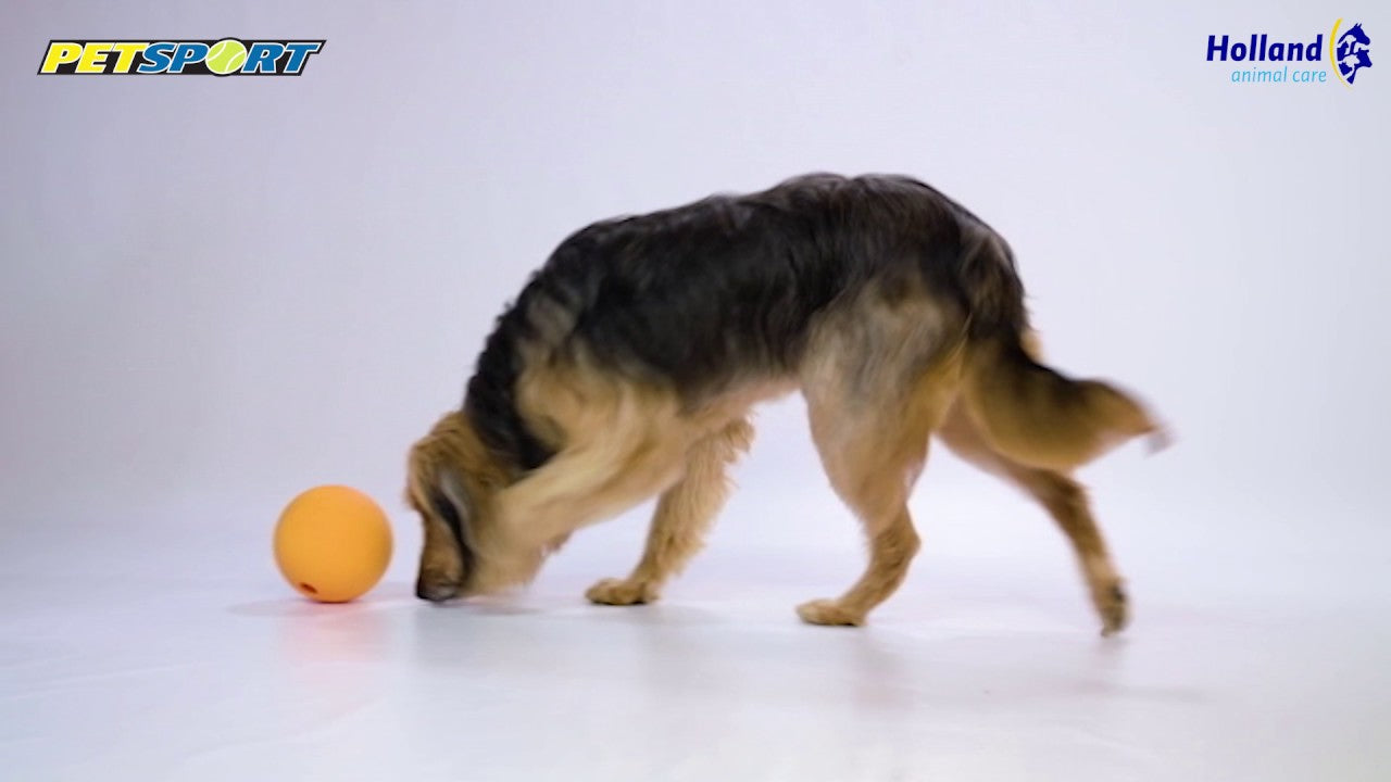 Petsport Kingpin Kibbler Schwarz