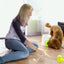 AFP Interactives Fetch'N'Treat Original