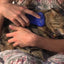 Pet+Me Dog Bürste Kurzhaar Gelb