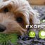 Dog Comets Exoplanet Igelball M Orange