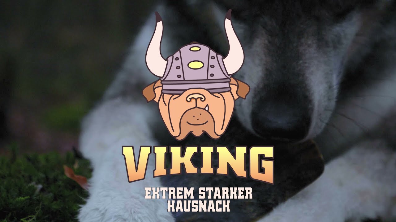 Viking Horn Twist S