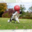 Jolly Tug-n-Toss Orange L (20 cm)
