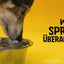 Excellent Pets No-Spill Bowl 300ml Grün S