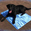 CoolPets Dog Mat 24/7 Anti-Slip Cover XL