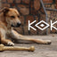 KOKO Coffee Bones L - 24 cm