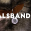 Spotted! Pro Lederhalsband Cognac 3 x 65 cm