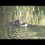 Chuckit! Amphibious Bumper M